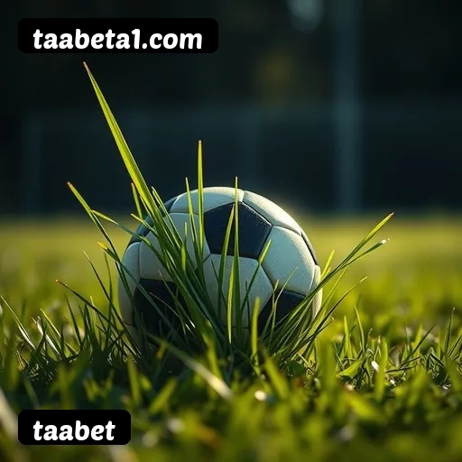 6 vantagens exclusivas do programa VIP da taabet